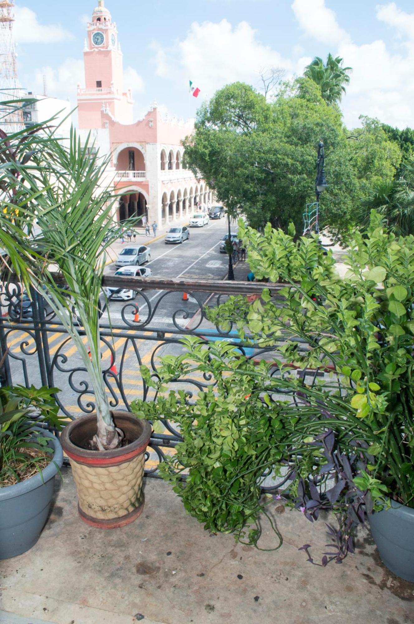 Hostal Zócalo *